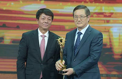 何嘉琅获得2015“中华之光-传播中华文化年度人物”奖.png